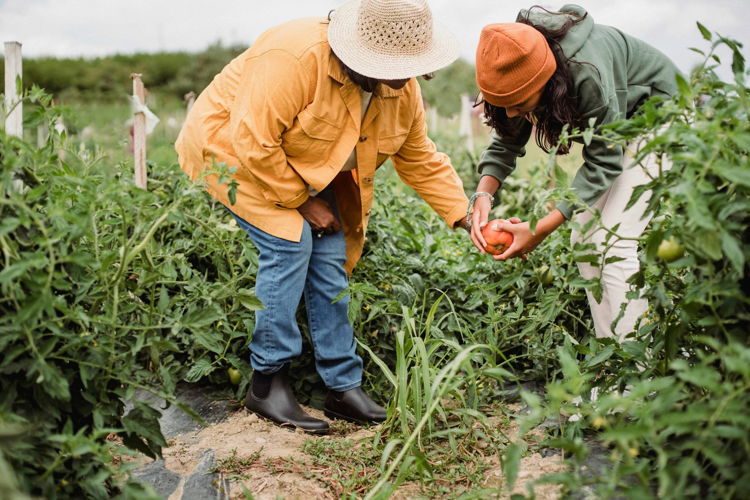 Dos mujeres agricultoras en el campo. Representación de trabajdores de Miton en Disfruta&Verdura