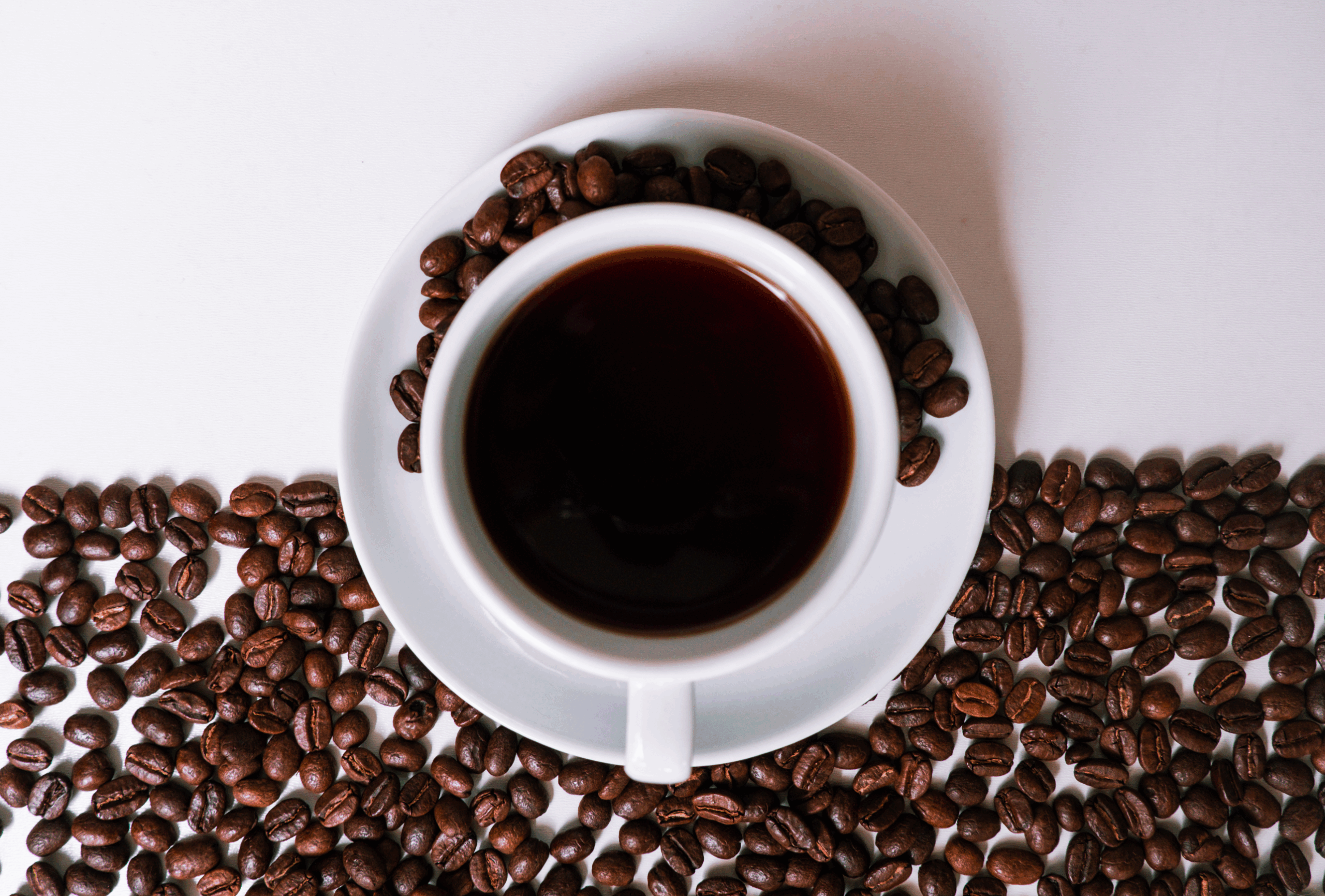 Cafes Cafes e infusiones