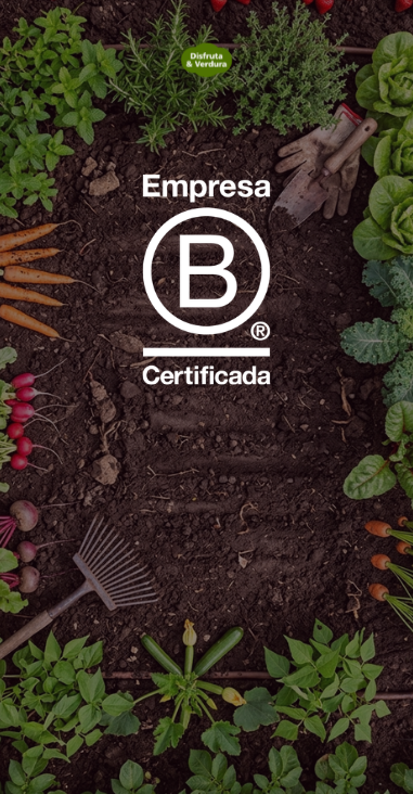 BCorp Foto