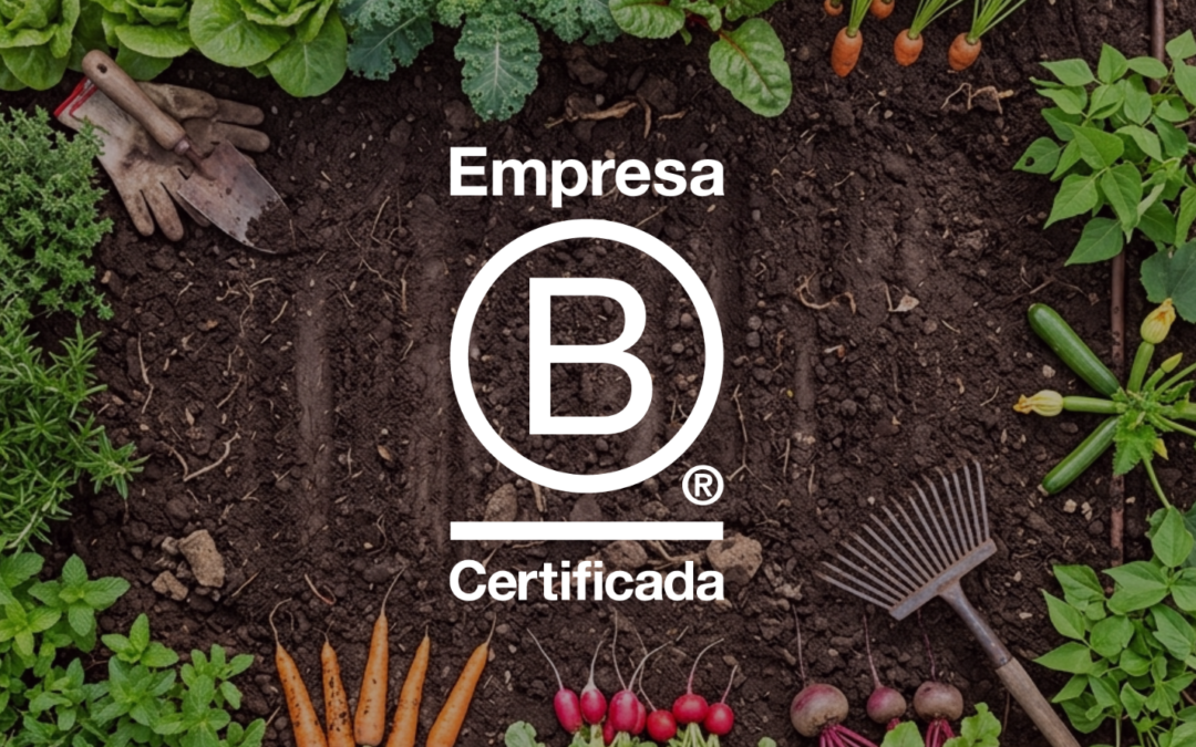 Disfruta & Verdura ya es B Corp: un reconocimiento a nuestra forma de hacer las cosas